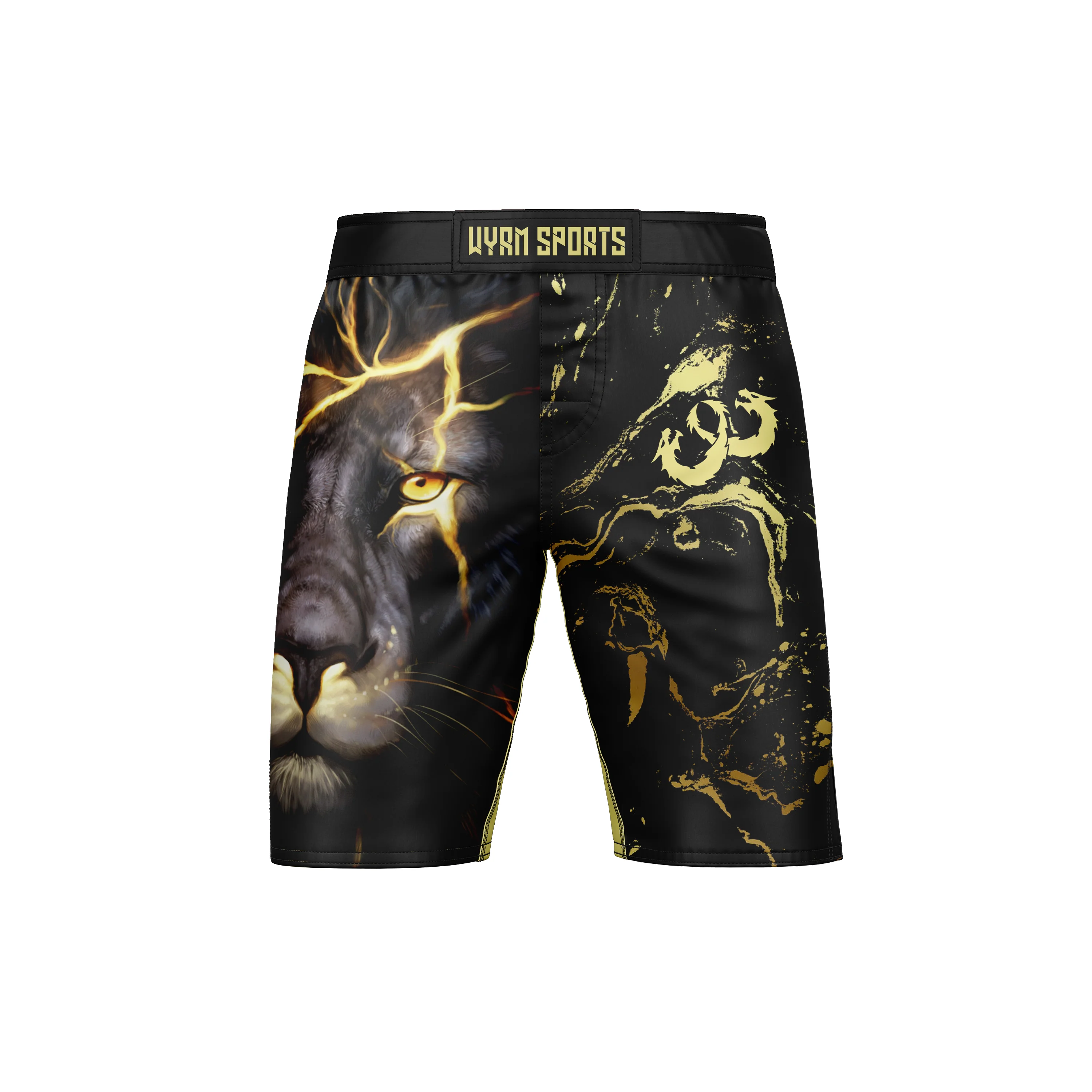Flashyking MMA Shorts